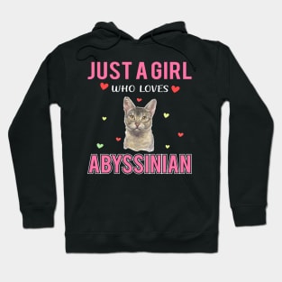 Just a Girl Who Loves Abyssinian Funny birthday Gift Ideas For Girls Hoodie